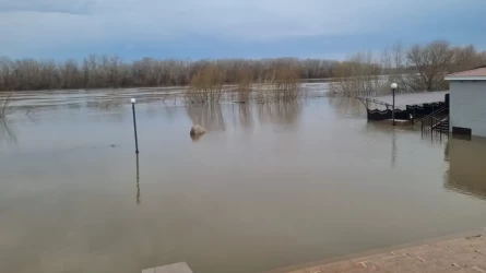 СҚО аумағында су деңгейі көтеріліп жатыр