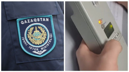 Жетісайда полицейлер жүргізушіге электрошокер қолданған (ВИДЕО)