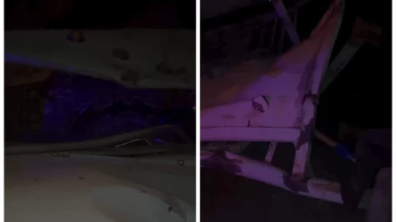 Алматы облысында полициядан қашқан мас жүргізуші жолаушылармен бірге көлік аялдамасына кіріп кеткен