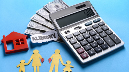 Танымал блогер алиментке небәрі 20 мың теңге төлеген