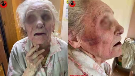 "Зейнетақысын алып қойған": Алматыда ер адам анасын аяусыз ұрып-соққан үшін қамалды