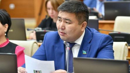 Елнұр Бейсенбаев: Балалар лагерінің жағдайы сын көтермейді