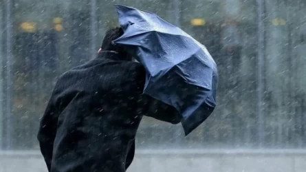 Бұршақ жауып, үсік жүреді: 5 мамырға арналған ауа райы болжамы