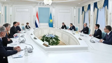 Мемлекет басшысы Нидерланд Корольдігінің Премьер-министрі Марк Рюттемен кездесті
