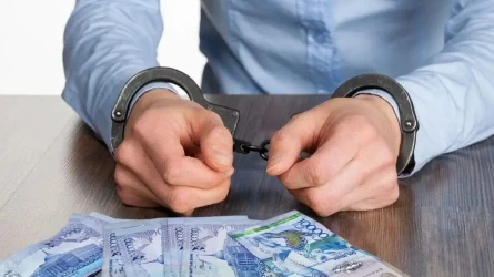 Көкшетауда қаржы пирамидасының жетекшісі сотталды