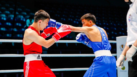 Elorda Cup: 14 боксшымыз алтын медаль алды