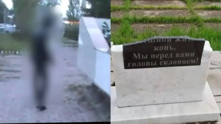 Túrkіstan oblysynda qoǵamdyq oryndardy lastaǵan 10 myńnan astam adamǵa aıyppul salyndy