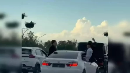 Almatyda toı kortejіnіń júrgіzýshіlerі jaýapqa tartyldy (VIDEO)
