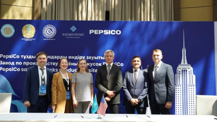 PepsiCo компаниясы қазақстандық картоптан чипсы өндіретін болады