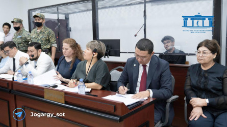 Bıshіmbaevqa úkіm shyǵararda sot 20 zań buzýshylyqqa jol berdі – Qorǵaýshy