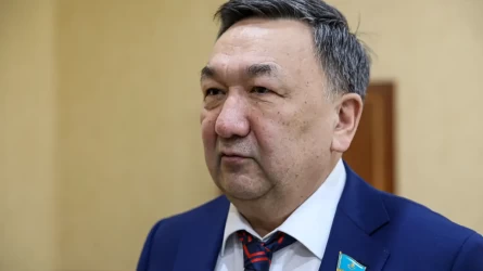 Сүт саласын субсидиялау тетіктерін қайта қарау керек — депутат