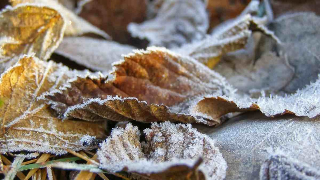 Бірнеше өңірде үсік жүреді: 6 қыркүйекке арналған ауа райы болжамы