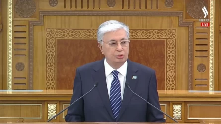 Burynǵy júıeden nemese saıası tulǵalardan kіná іzdeı berýge bolmaıdy – Prezıdent
