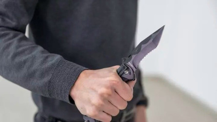 Жамбыл тұрғыны әйелін пышақтап өлтіріп, артынша өзіне қол салмақ болған