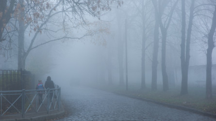 Еліміздің басым бөлігінде дауылды ескерту жарияланды