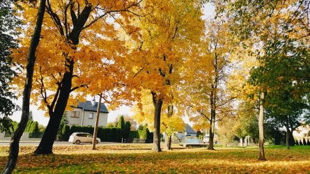 Осы демалыста күн райы елімізде 32 градусқа дейін жылынады