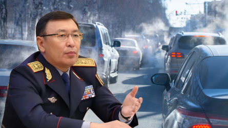 Неге көлікті 5 минуттан да көп қыздырғанымыз үшін айыппұл төлеуіміз керек? Сенат депутаты жауап берді