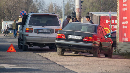 «Тоқылдақ» дей беріңдер»: eOtinish-ке арыз жаза берген ер адам 50 көлікке айыппұл салдырған