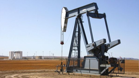 Қазақстанда мұнай өндіруге түрік компаниясы келеді