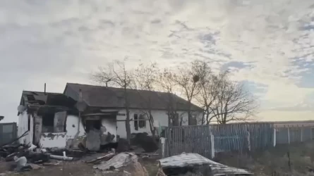 В Акмолинской области прохожие спасли троих детей из горящего дома