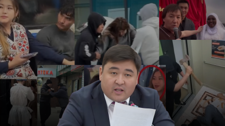 «Лүпіл үшін есі ауысқандар»: Депутат қауіпті пранктерге заңмен тыйым салуды талап етті