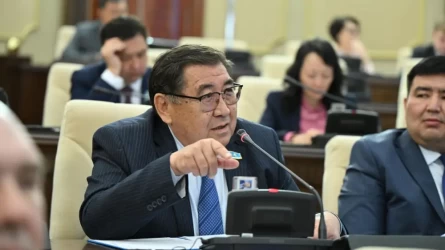 Депутат Бапи требует возобновить уголовное дело против сына Болата Назарбаева