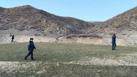 В Жетысу двух подростков, сбежавших верхом, нашли живыми спустя два дня
