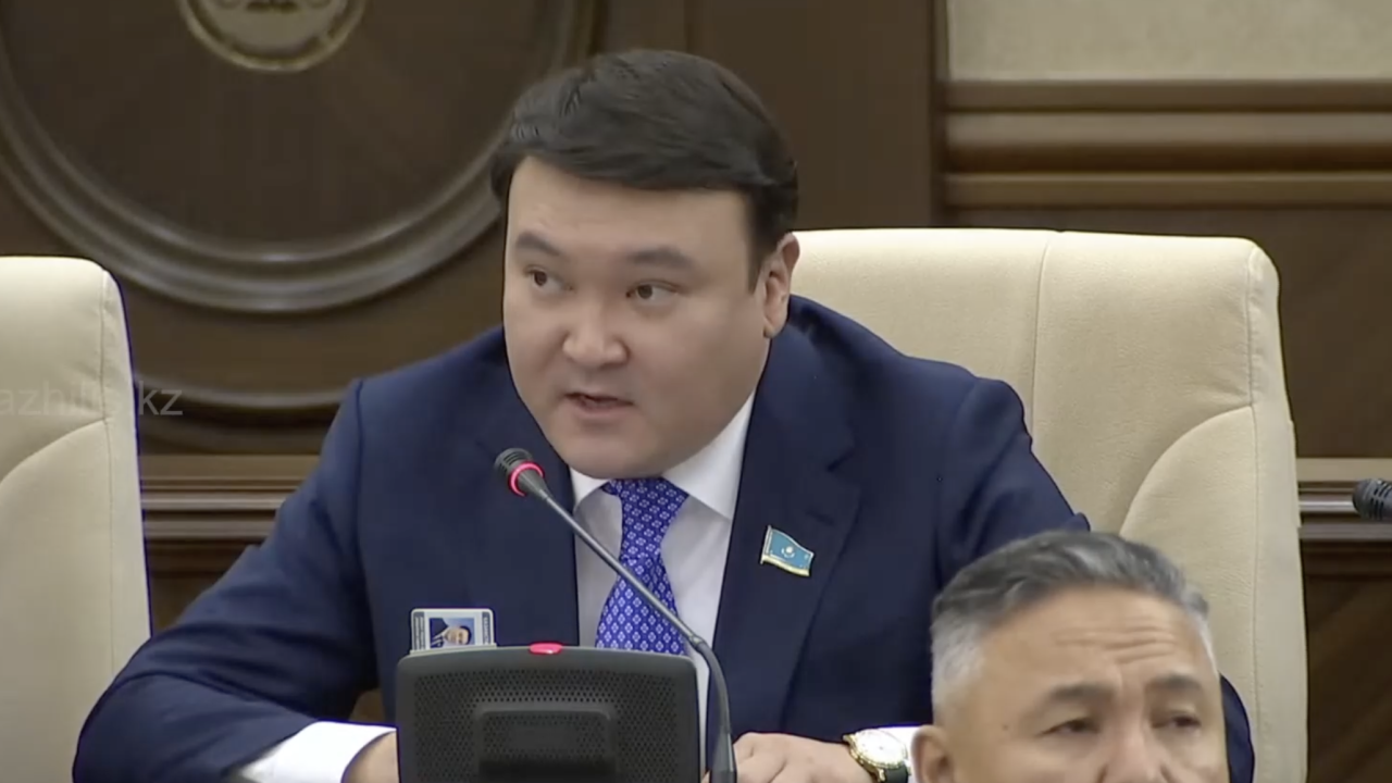 Депутат тиімсіз кәсіпорындарға берілетін мемлекеттік қолдауды тоқтатуды ұсынды