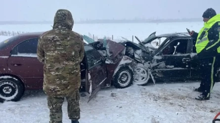 Алматы – Өскемен трассасында жол апатынан төрт адам мерт болды