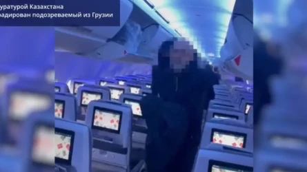 Ауыр қылмыс жасады деген күдікті Грузиядан елге қайтарылды