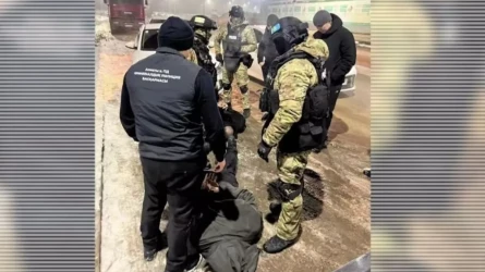 Алматыда бірнеше пәтер тонаған күдіктілер ұсталды (ВИДЕО)