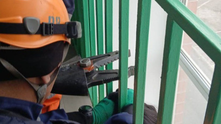 Қызылордада кішкентай қыз темір торға қысылып қалды
