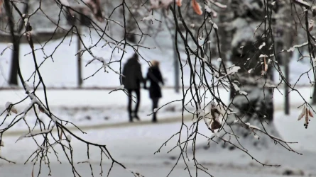 Туман, гололёд, метель по всей стране: синоптики распространили срочное предупреждение
