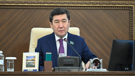 Ерлан Қошанов министрлердің жауаптарына көңілі толмай, сынға алды
