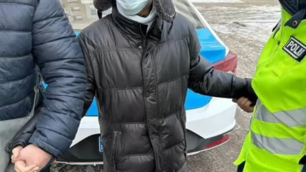 «Бәрі ақша жетпегеннен»: депутат лифтідегі жағдайға кінәлі жасөспірімді жалғызбасты анасы бағып отырғанын айтты