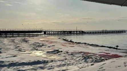 Каспий напугал жителей Актау