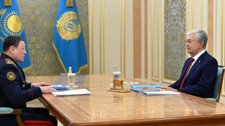 Токаев принял министра внутренних дел Ержана Саденова
