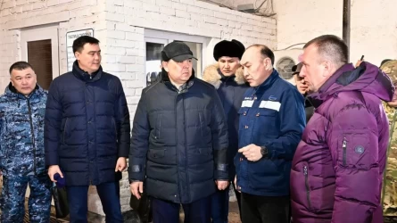 В Улытау работает правительственная комиссия