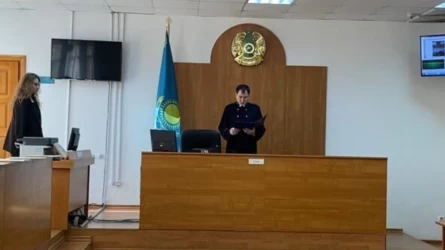 Шенеуніктің баласы өзінің 8 жасар туған қызын зорлап келген