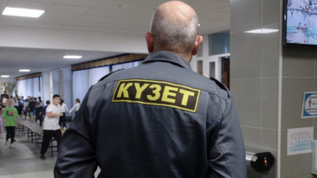 Павлодарда мектептің мас күзетшісі 6-сынып оқушысын ұрып тастаған