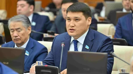 Полномочия Руслана Берденова досрочно прекращены