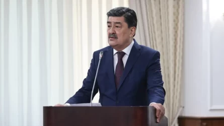 Министр получил замечание от Бектенова