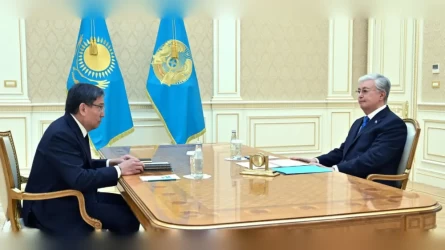 Президент дал поручения акиму Алматы
