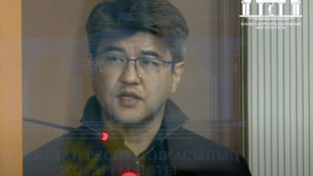 Имеет ли Куандык Бишимбаев право отказаться от выплаты алиментов
