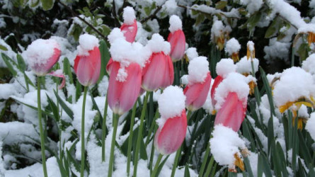 29 сәуірге арналған ауа райы болжамы жарияланды