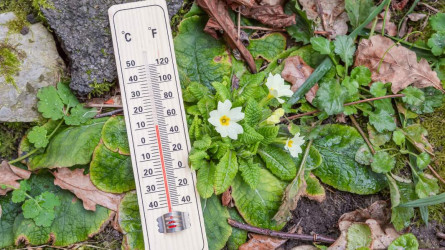 Елімізде алдағы күндері ауа райы +35 градусқа дейін ыстық болмақ