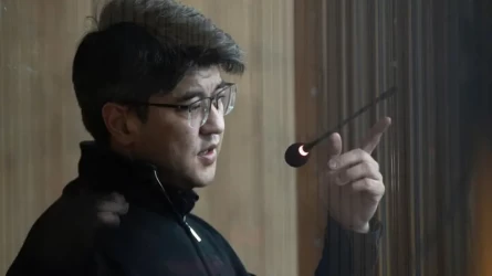 Адвокат Бишимбаева сделал заявление по поводу алиментов