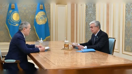 Глава АФМ получил поручения от Токаева