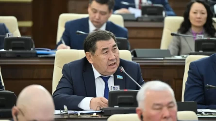 Депутат о скандальном фото с флагом Казахстана