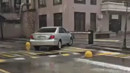 Алматыда жүргізуші ескерту жасағаны үшін тұрғын үй күзетшісін аяусыз ұрып тастады (ВИДЕО)